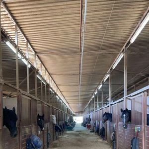 Meet your Posher, Carlos